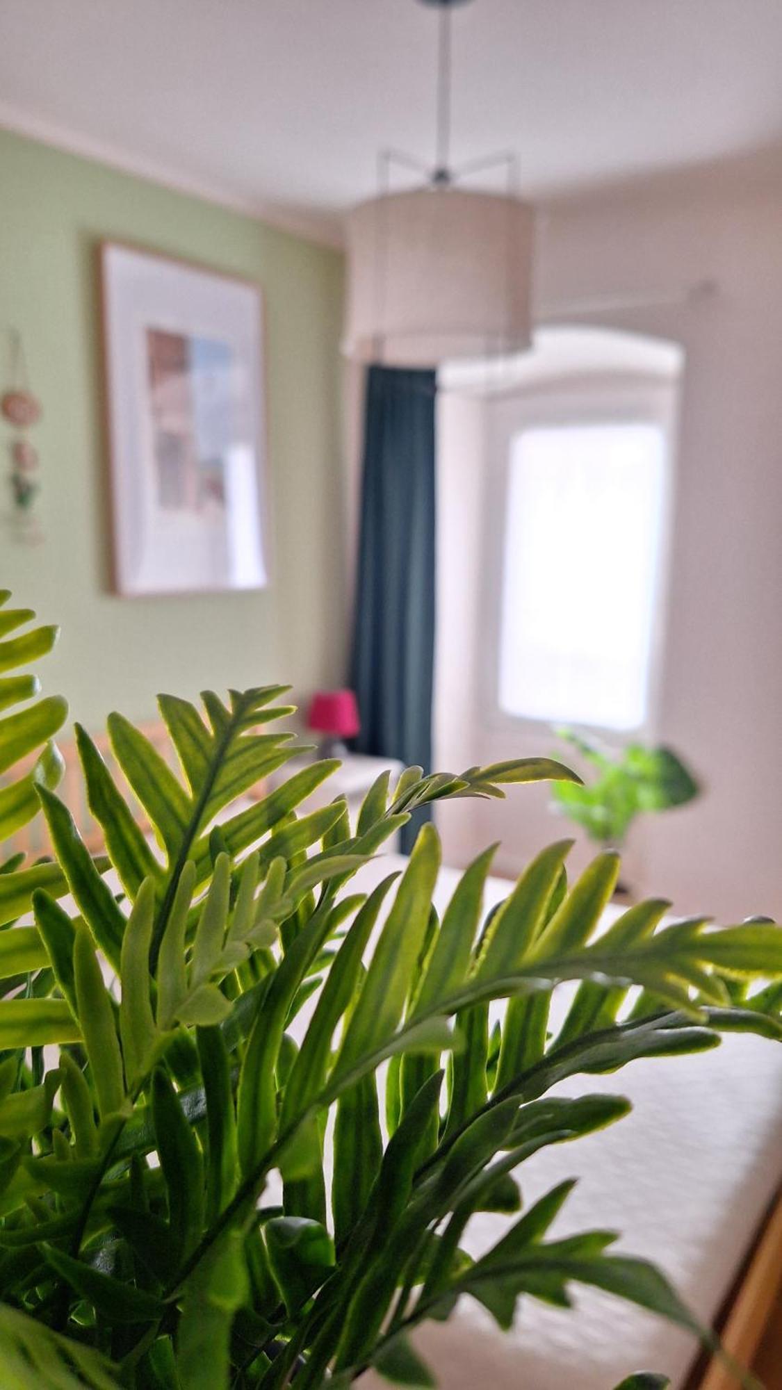 Apartment Al Glicine *